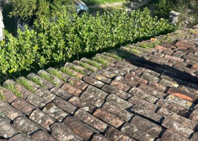 demoussage toiture frejus